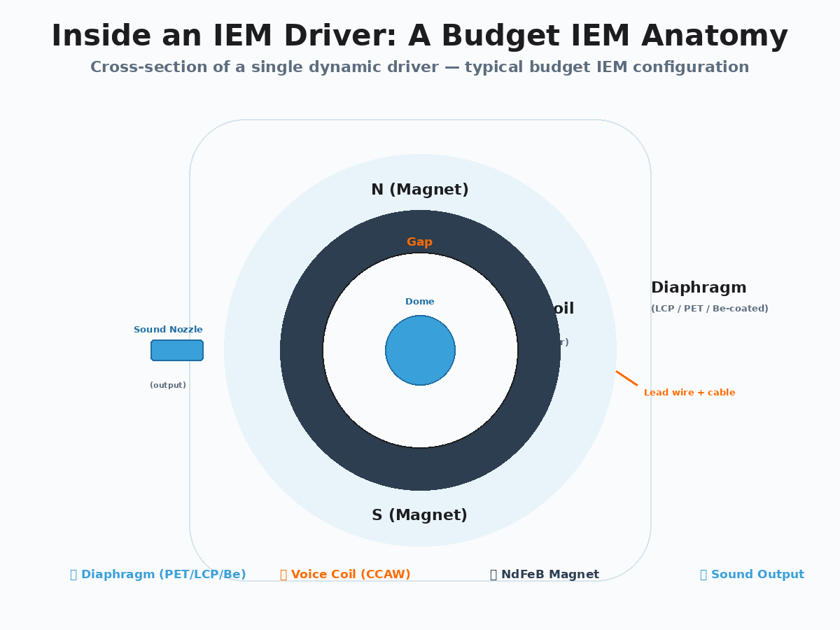 IEM single dynamic driver cross-section anatomy showing diaphragm voice coil magnet NdFeB gap